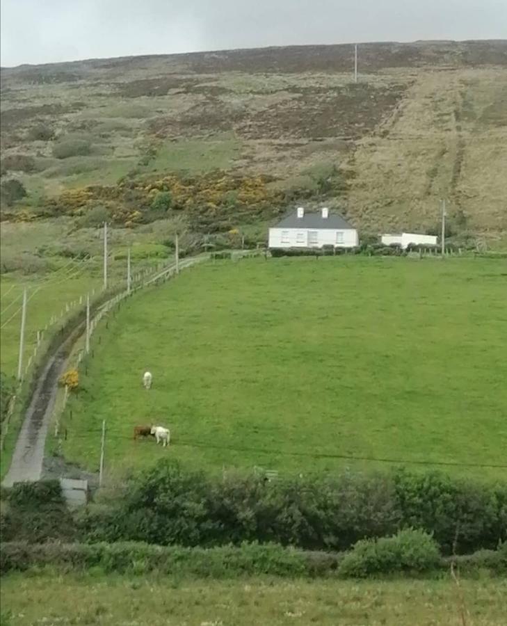 Glenhill - Newly Renovated In A Unique Location Hébergement de vacances Belmullet